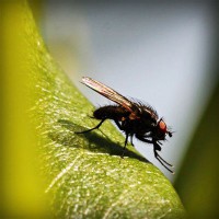 /album/loopschoenenkopen/photolia-a04-jpg/