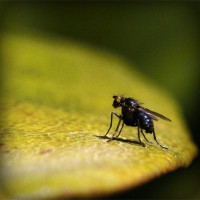 /album/loopschoenenkopen/photolia-a07-jpg/